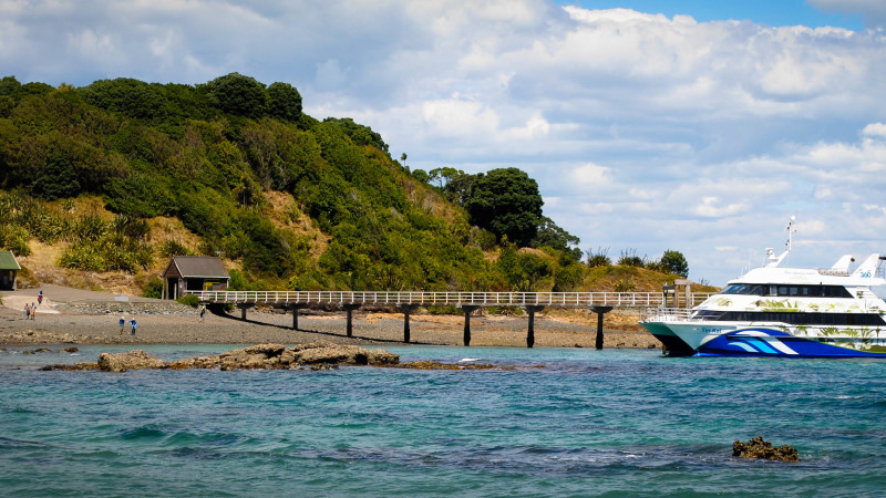 Tiritiri Matangi Island Day Trip with Ferry