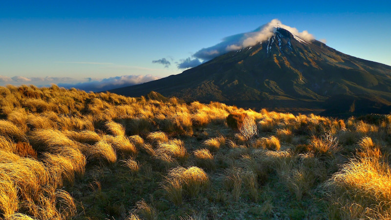 Mt Taranaki Poukai Crossing Guided Walk with Thermal Spa