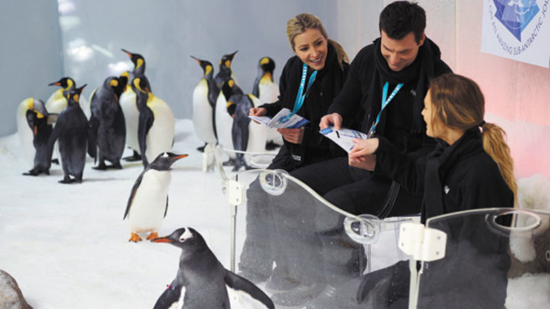 Penguin Encounter at SEA LIFE Melbourne Aquarium - For 2