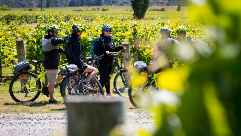 on yer bike winery tours