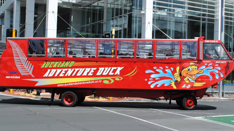 Highlights of Auckland Duck Bus Tour