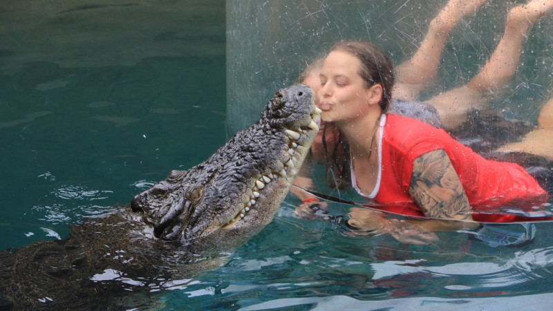 Crocodile Cage of Death at Crocosaurus Cove