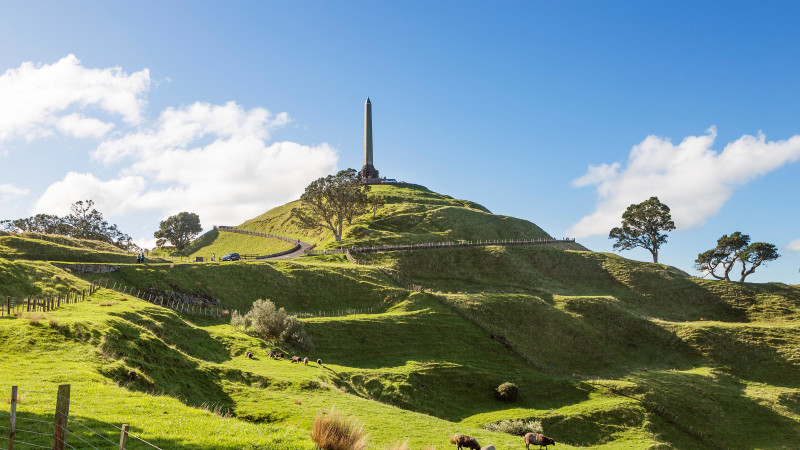 City of Sails Auckland Discovery Tour