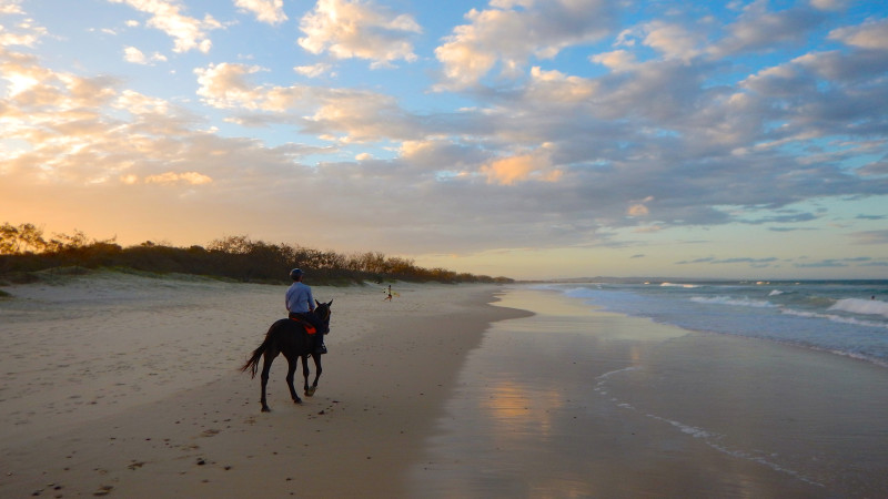 Full Moon Beach Horse Riding - No Experience Necessary