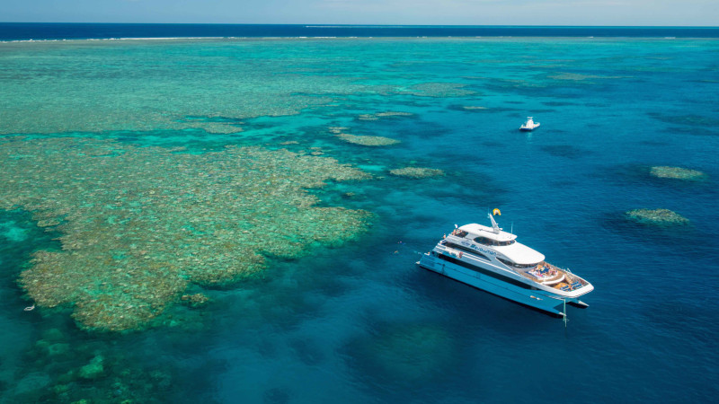 finger marina cairns c Great and Cruise Reef Gold Snorkelling Class Barrier