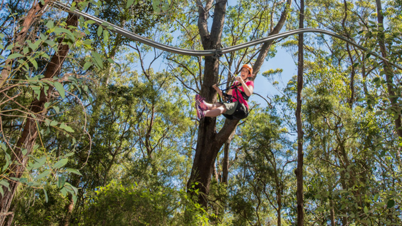 Tree Top Roller Coaster Zip Line Experience