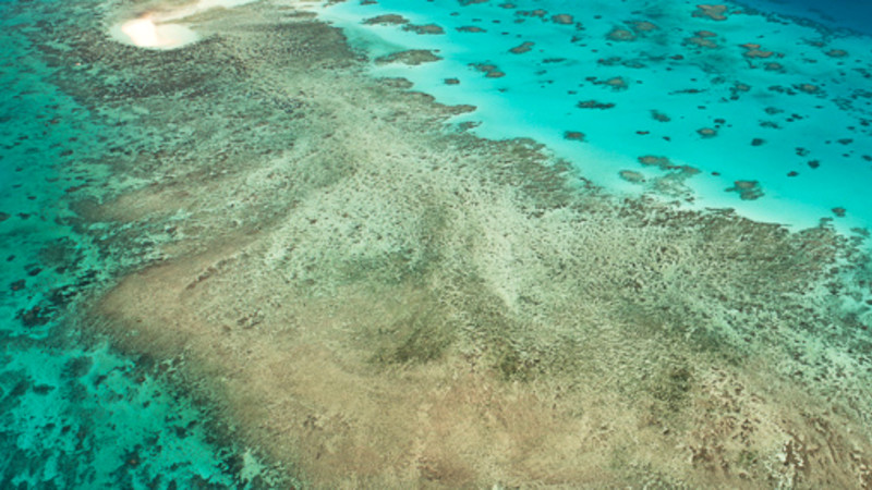 Scenic Helicopter Flight Over Great Barrier Reef - 30 mins
