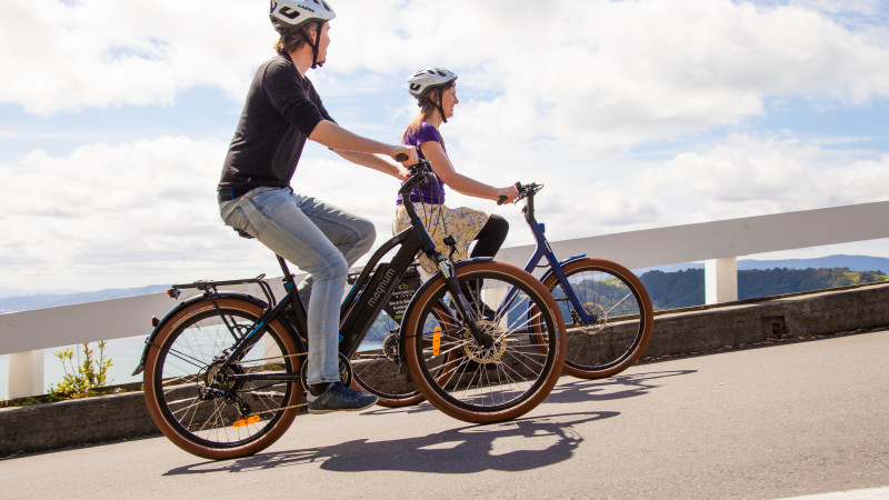 Wellington Electric Bike Hire - Full Day