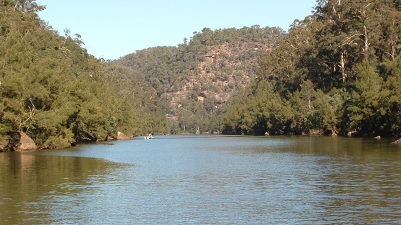 cruise the nepean river gorge