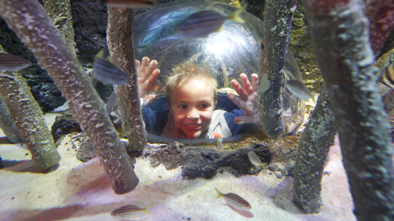 SEA LIFE Melbourne Aquarium Entry