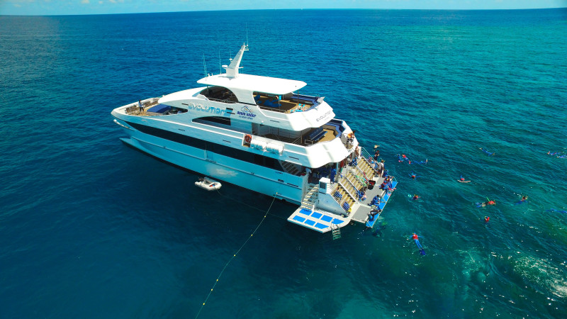 marina marlin c finger Full Barrier and Reef Day Snorkelling Cruise,  Dive Great