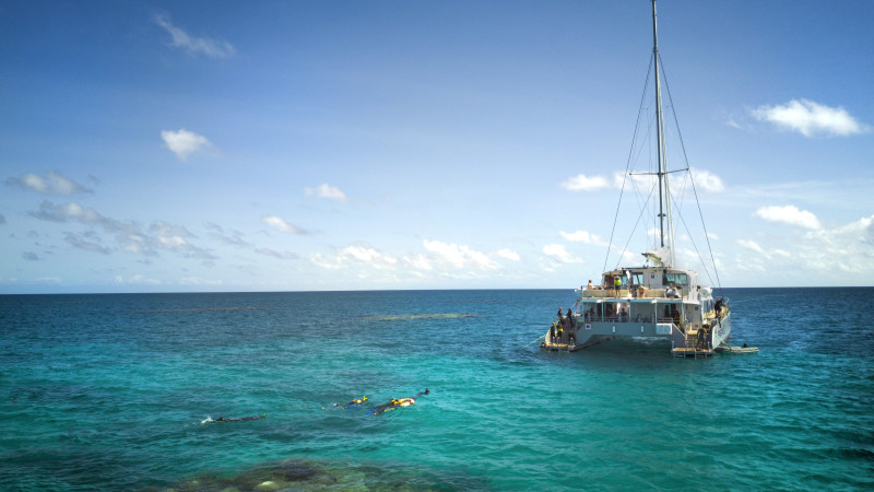 catamaran sail and reef snorkeling (n14)
