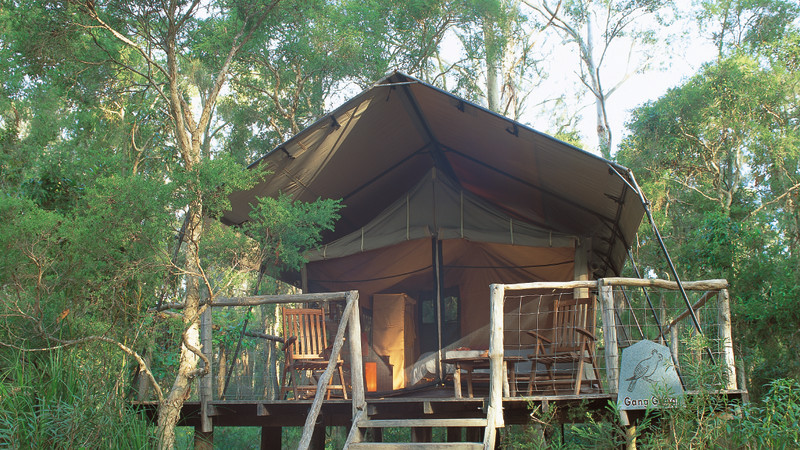 Jervis Bay Overnight Luxury Camping with Breakfast - For 2
