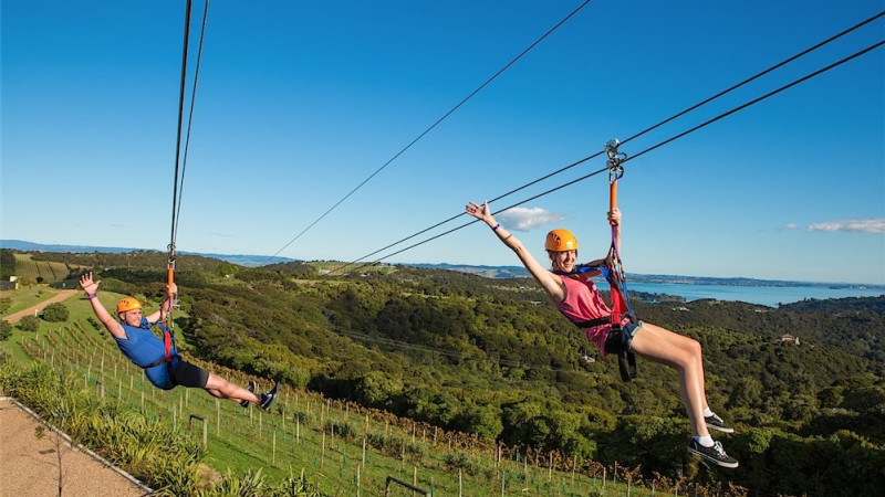 Flying Fox Zipline and Forest Walk with Transfers