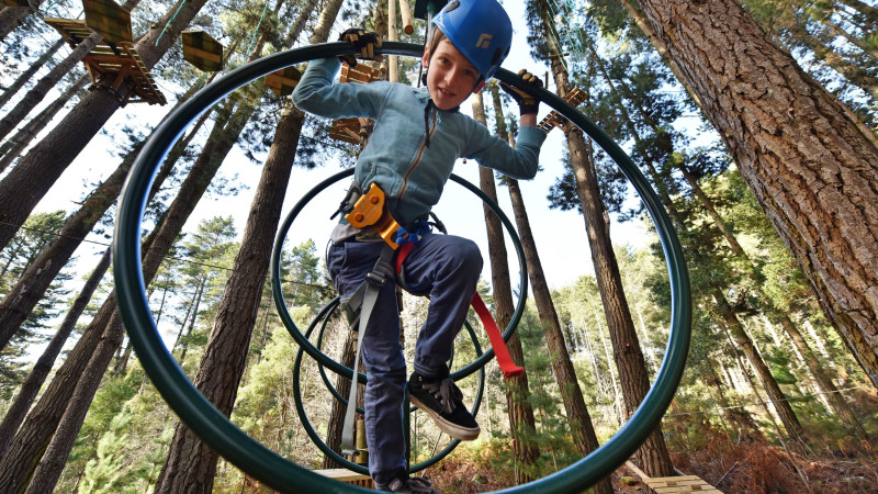 Tree Top Ropes Course - 2 Hours