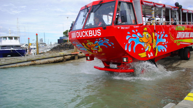 Highlights of Auckland Duck Bus Tour