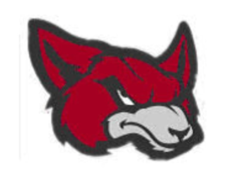 Palmettopreps - Fox Creek High School Football Schedule And Team Info