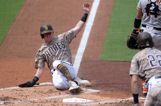 Former Michigan Wolverines baseball player Jake Cronenworth