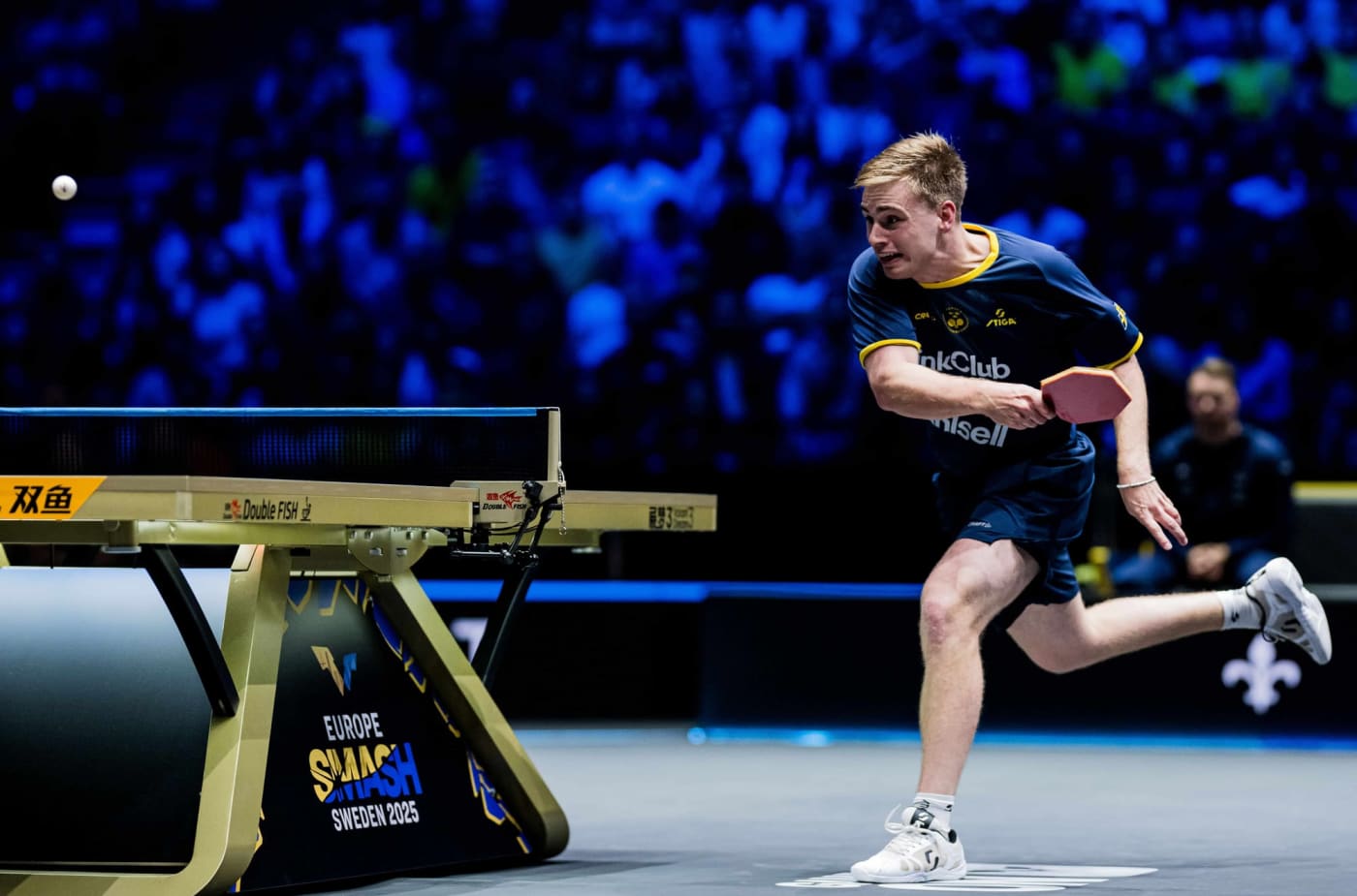 Vad vill man egentligen ha?