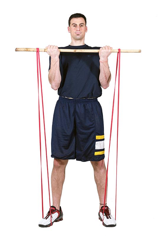 Giant Flat Bands  Bands for Pullups, Stretching, or Resisted Body Weight  Exercises