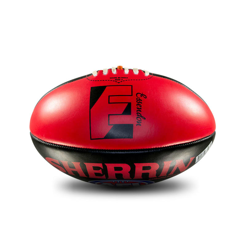 Essendon Bombers Team Logo - Size 2