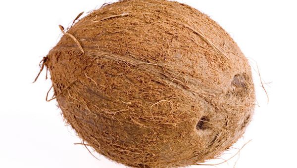 coconut