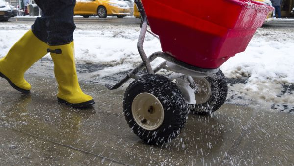 salting icy sidewalks