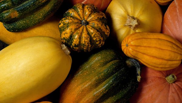 4. Squash