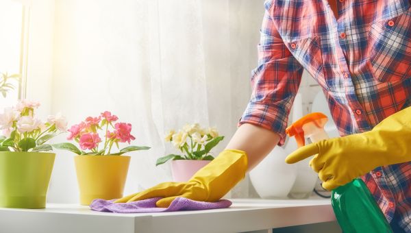 cleaning counter with gloves
