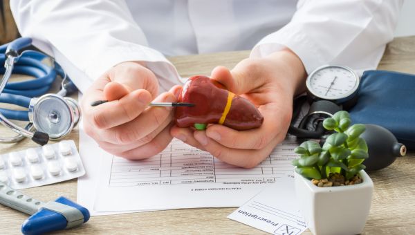 doctor points to model of liver