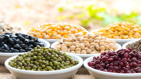 Bowls filled with various legumes, all of which should be avoided on a paleo diet.