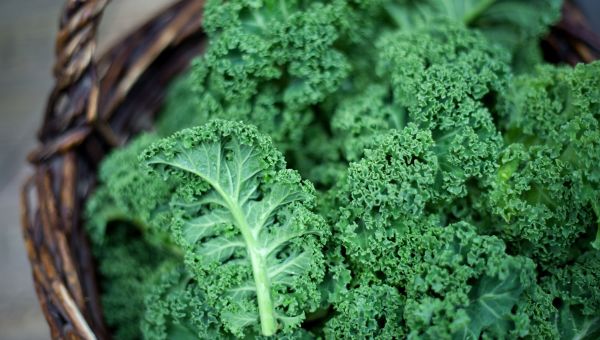 kale, greens, vegetable, salad