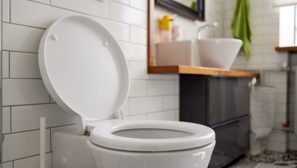 image of a toilet in a home bathroom
