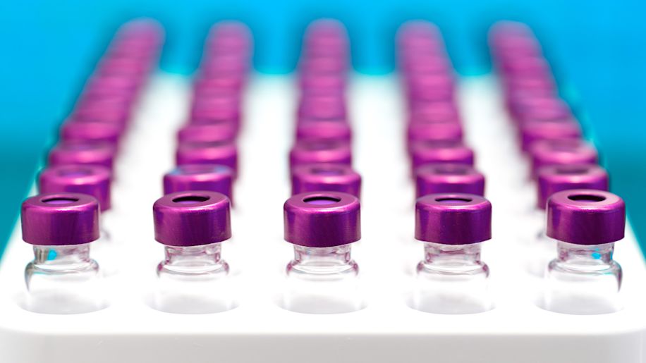 Rows of blood testing samples in vial rack. 