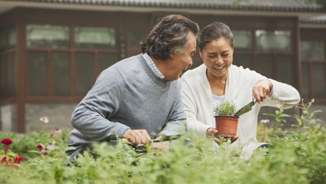 Smiling senior couple in garden