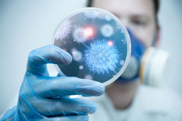 A scientist holding a Petri Dish with Virus and bacteria cells.