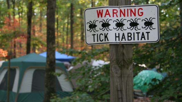 warning sign for ticks