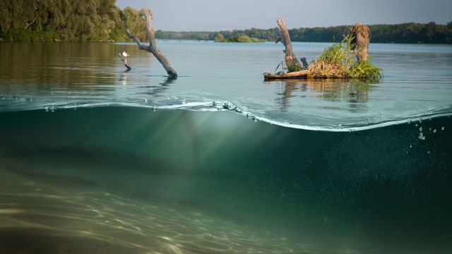 underwater lake photograph