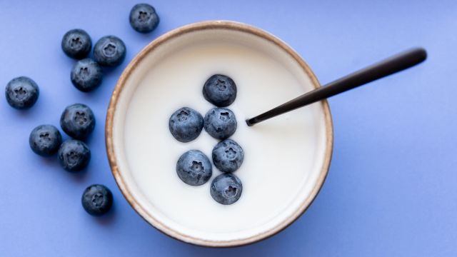 yogurt and blueberries in a bowl.