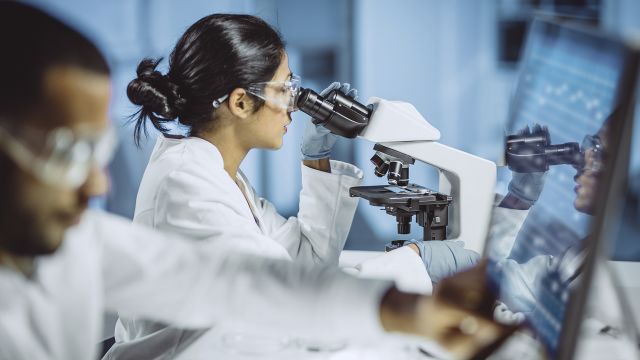 Technicians work in a medical lab.