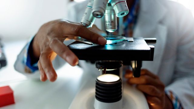 A pathologist examines a tumor sample with a microscope.