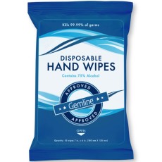 Sanitizing Disposable Hand Wipe Pack (10 Wipes Per Pack)