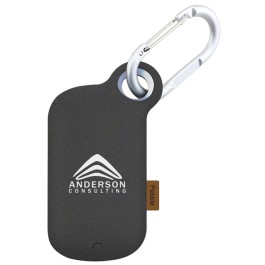 Ul Listed Pebble Carabiner Power Bank