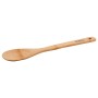 Bamboo Spoon