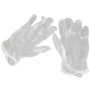 Disposable Vinyl Gloves