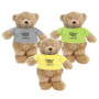Bear Group