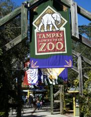 Zoo Zoom at Lowry Park Zoo Zoo Zoom at Lowry Park Zoo
