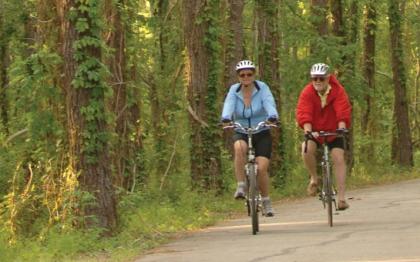 tammany trace mandeville trail