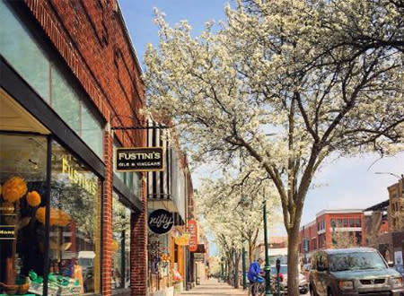 Blossoms in Downtown Traverse City