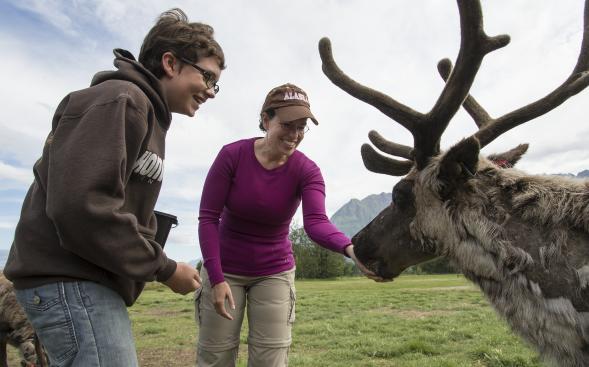 Afbeeldingsresultaat voor SUMMER reindeer farm